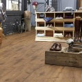 Ламинат Tarkett Vintage Дуб Рустик промасленный 42068380 Ламинат Tarkett Vintage Дуб Рустик промасленный 42068380