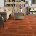 Линолеум Tarkett Premium Анкора-2 Линолеум Tarkett Premium Анкора-2